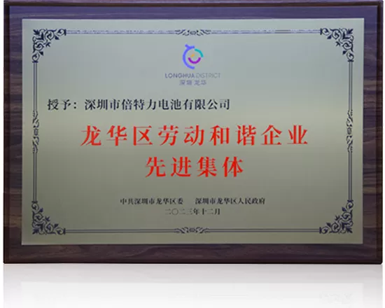 ADVANCED COLLECTIVE OF LABOR HARMONY ENTERPRISES IN LONGHUA
DISTRICT