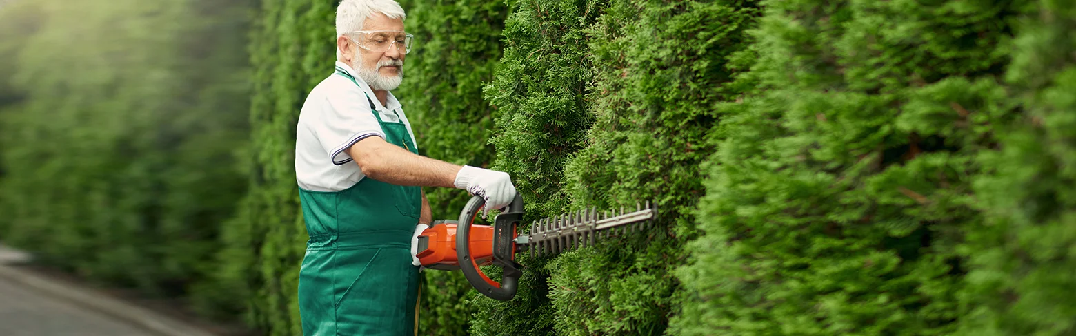 Características da bateria em ferramentas de jardinagem