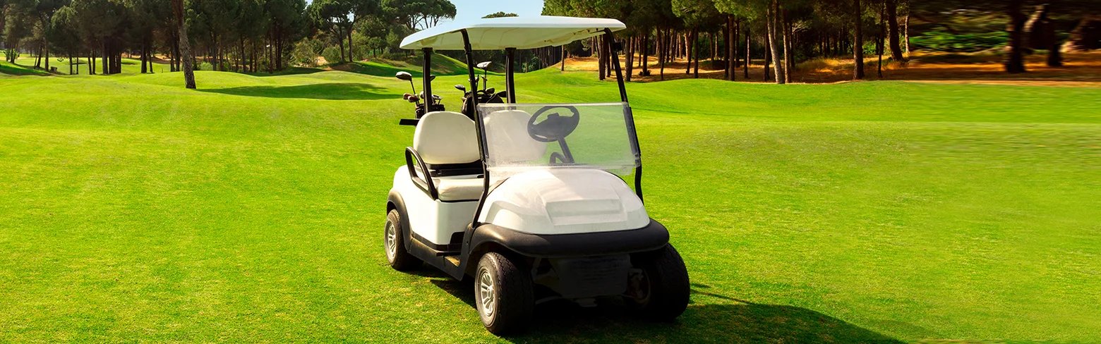 Características da bateria em carrinhos de golfe